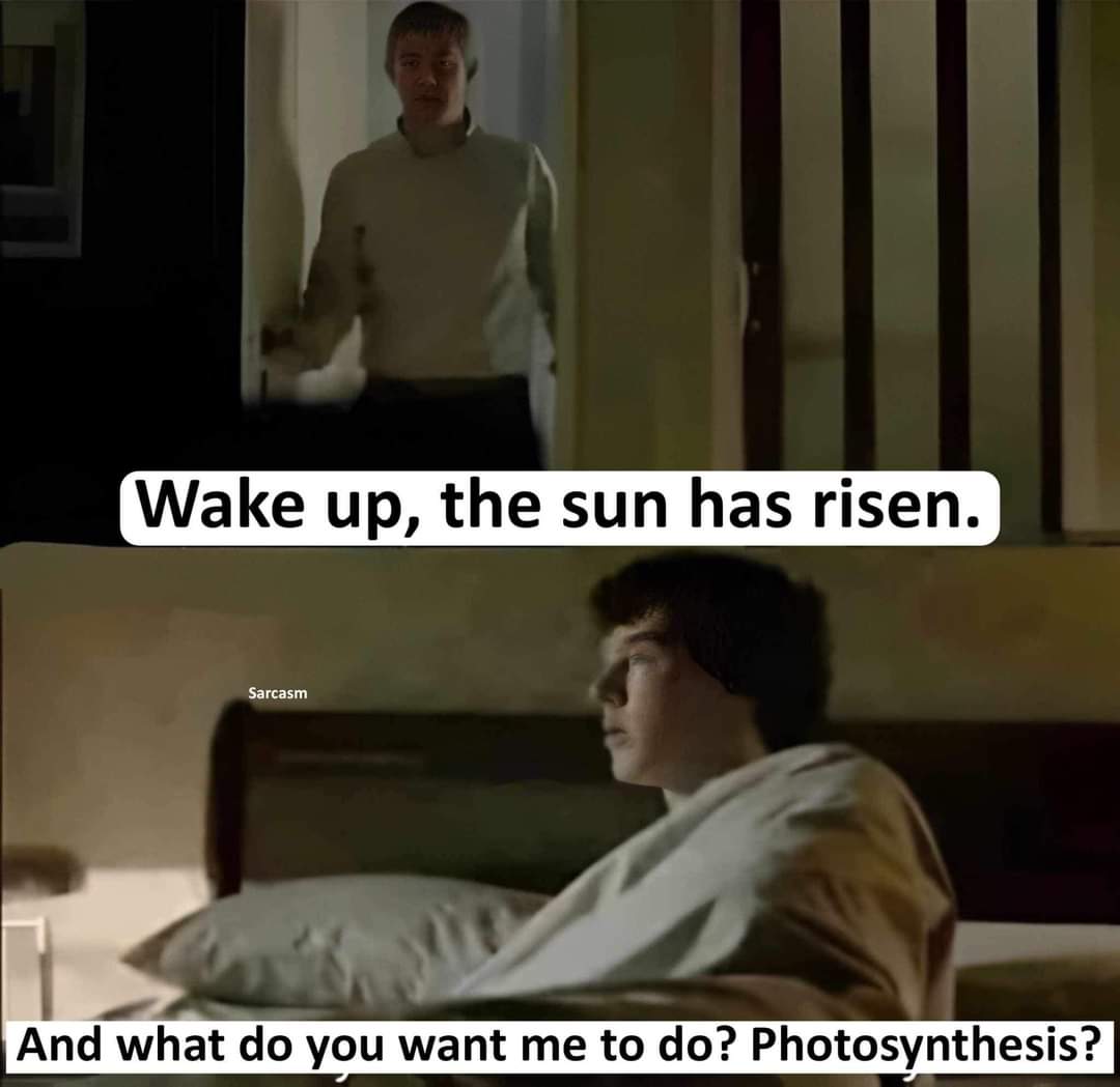 Meme 1